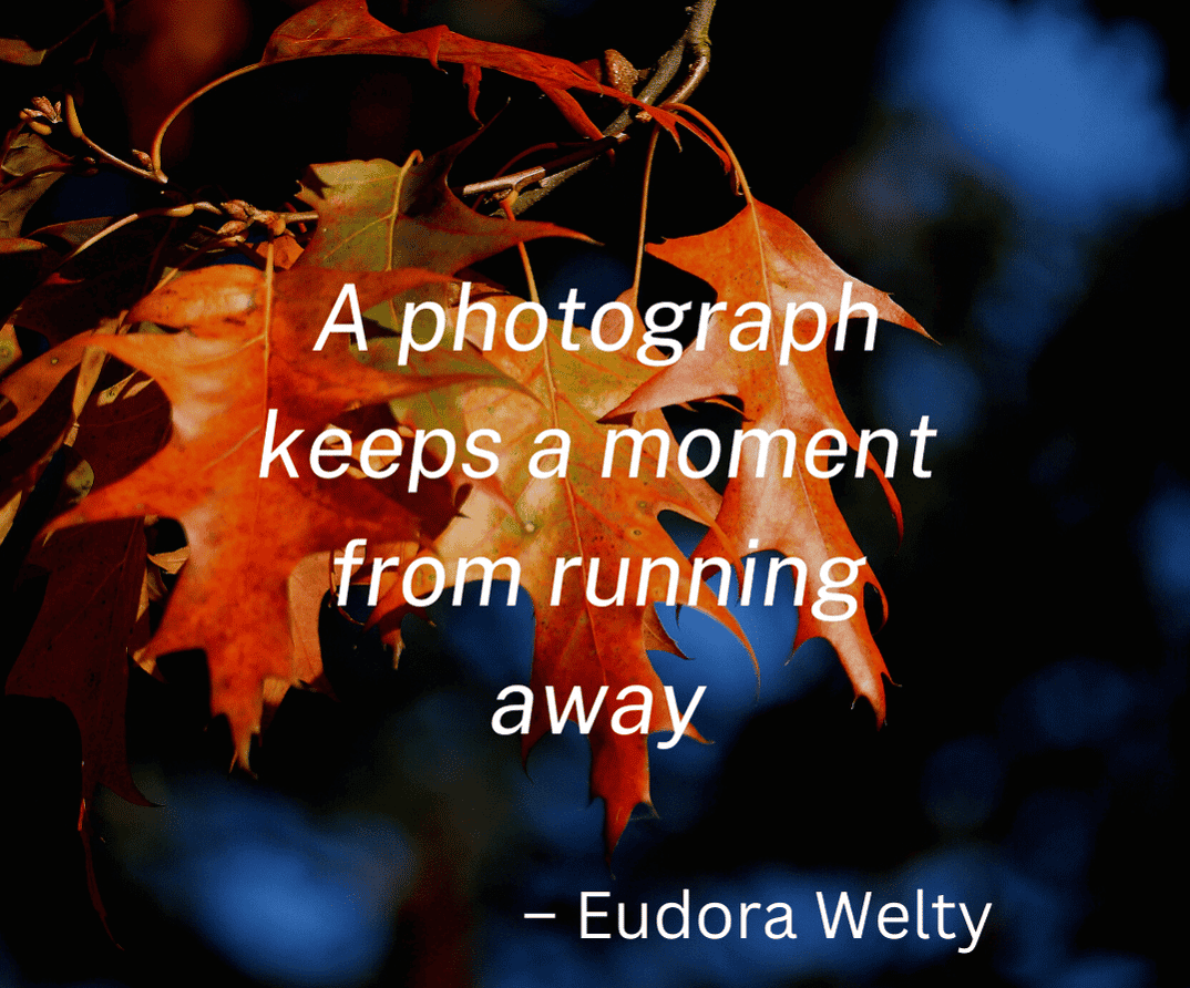 Photography Quote From Eudora Welty